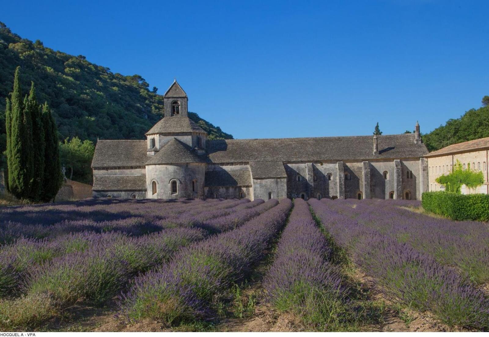 Villa La Des Lavandes - A 300m Du Centre, Au Calme, Et Au ! *